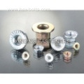 Stainless Steel Hex Flange Nuts